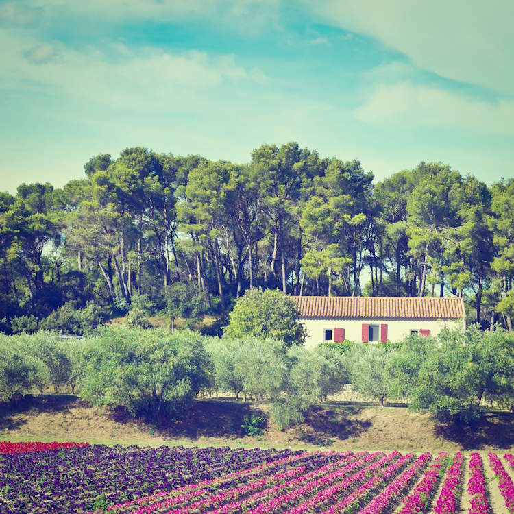 Gîte de charme en Provence