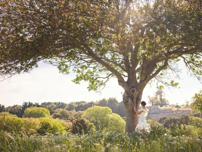 Les plus beaux domaines pour un mariage en Provence